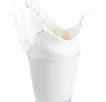 What is cow&#8217;s milk?, EPI Ingrédient