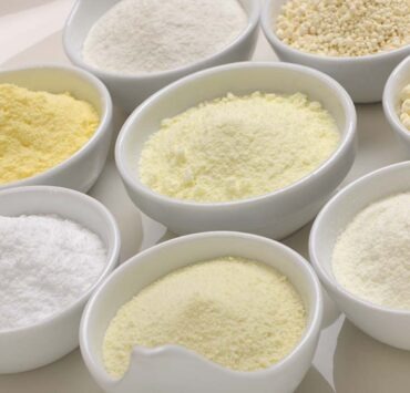 Dairy powder products for food processing, milk powder production ...